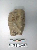 藏品(中型打製石斧)的圖片